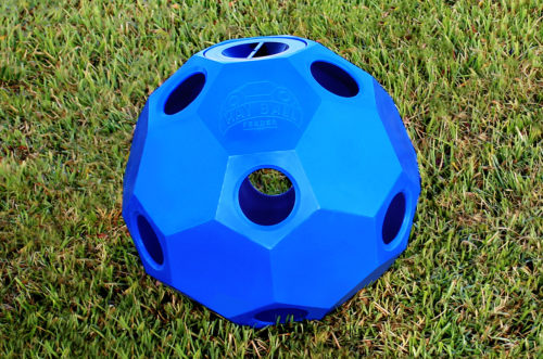 hay ball feeder in blue