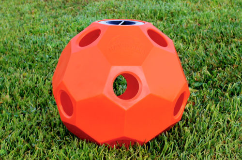 hay ball feeder in orange