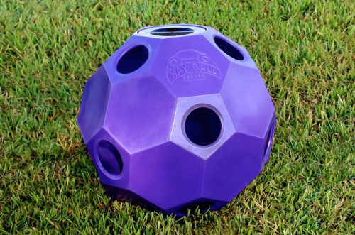 hay ball feeder in purple