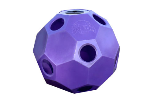 hay ball feeder in purple