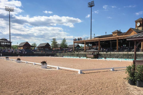 Olympia lattice top flower boxes and arena