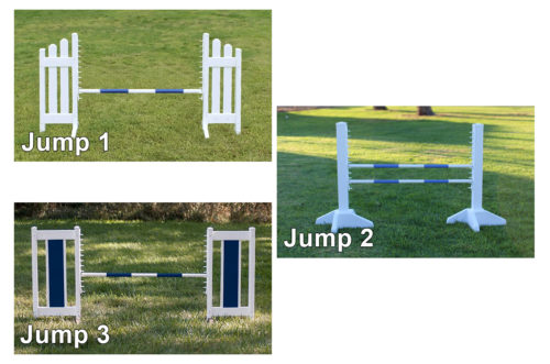 simple trainer jump course. skinny picket, kid schooling, color panel