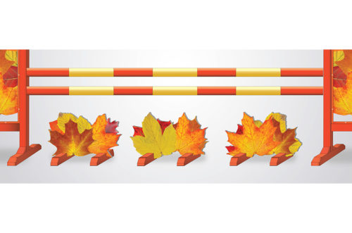 graphic hurdle autumn leaves