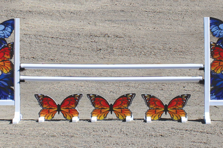 Graphic Hurdles - Graphic Horse JumpsArena Supplies