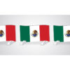 graphic flag hurdle mexico