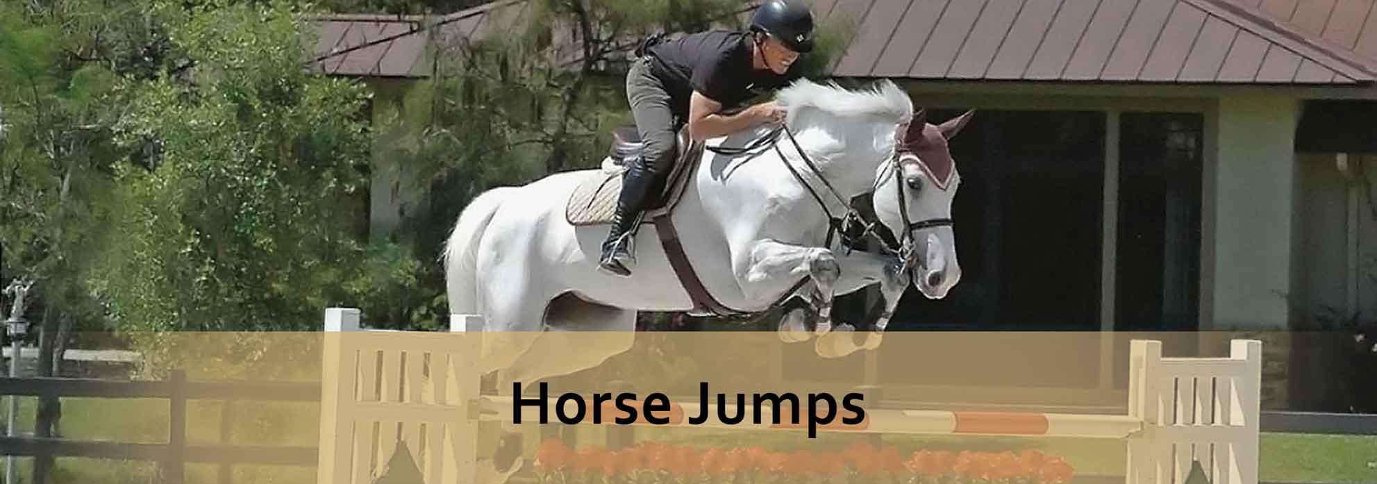 horse jumps