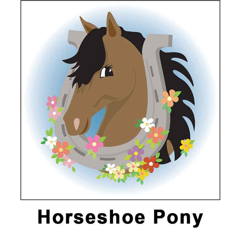 horseshoe pony