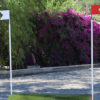 X-Country Flag Poles w/Flags (Pr)