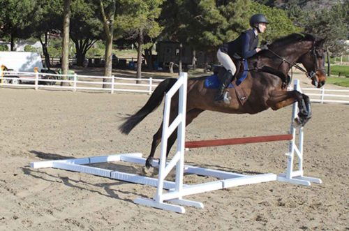 horse jumping over soft rails