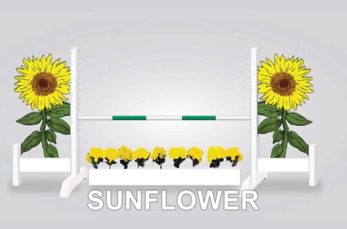 sunflower with flowerbox